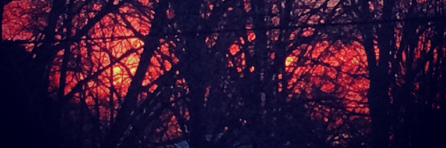 marlaco's profile banner image