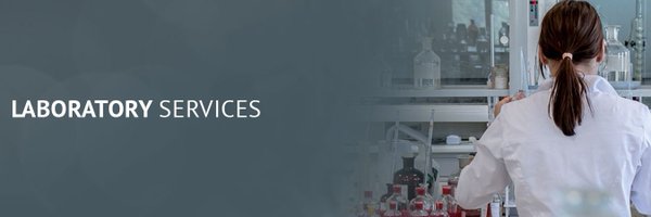 BisWrl Profile Banner