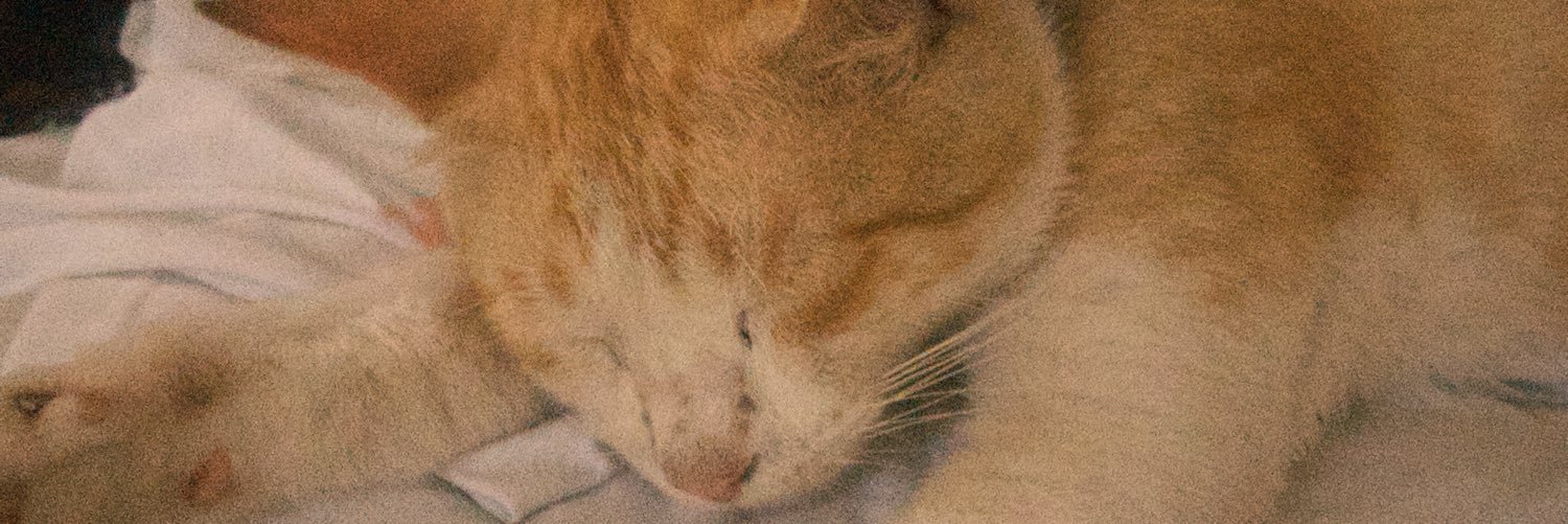 clrairo's profile banner image