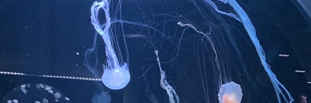 壊我's banner