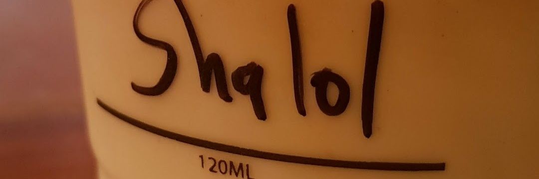 ShalomBeWithYou's profile banner image