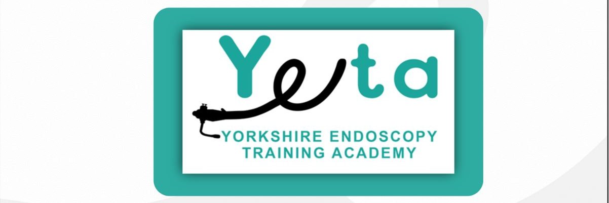 Yorkshire Endoscopy Training Academy banner