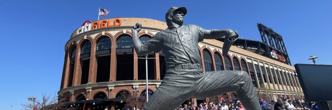 Metsmerized - Joe D banner