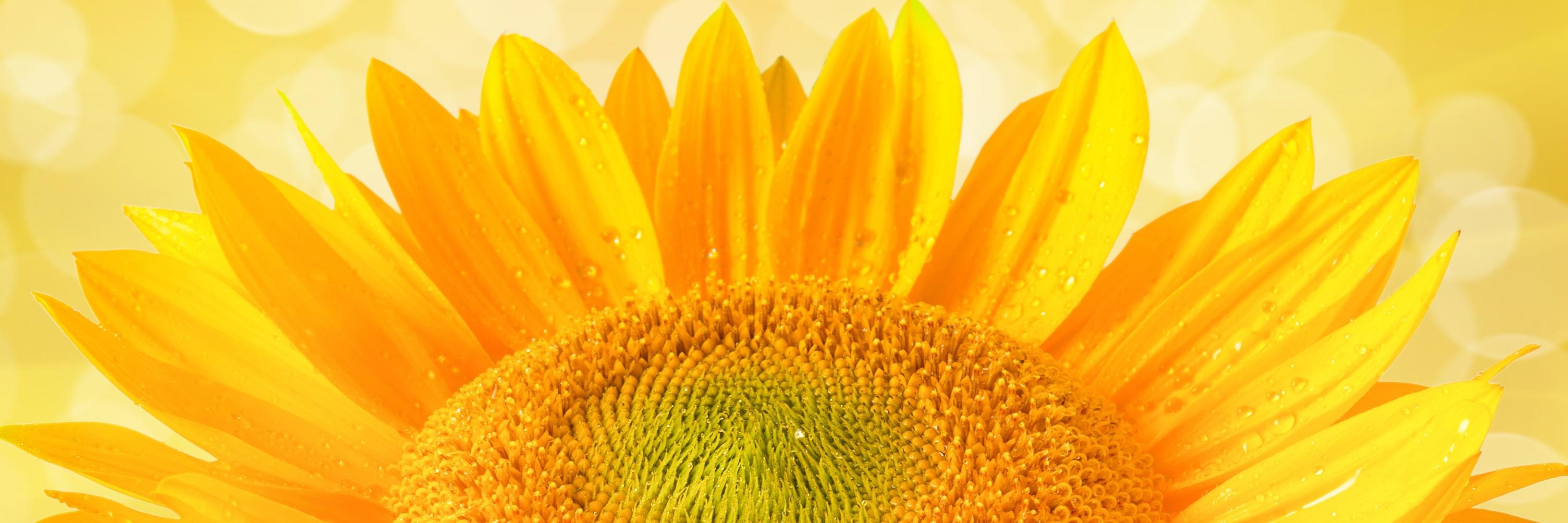 CreatSumcki's profile banner image