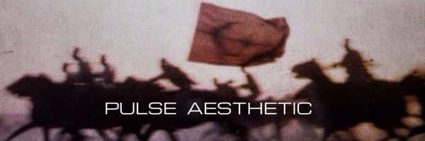 PulseAesthetic Profile Banner