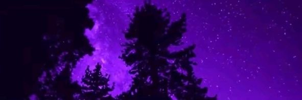 sxbpkk's profile banner image