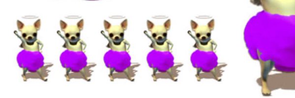 nyagihuahua Profile Banner