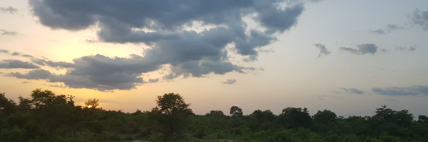 Diokoo's profile banner image