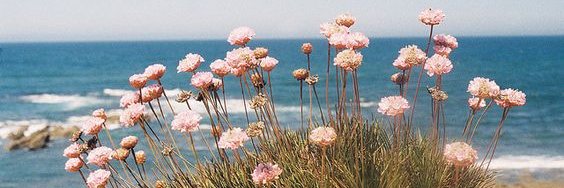 푸른's banner