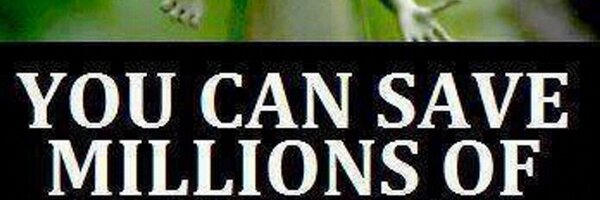 timmybello Profile Banner