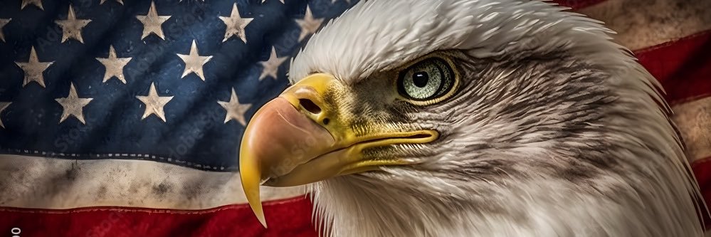 MaggyRuse's profile banner image