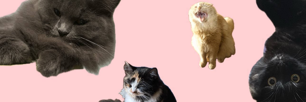 justinetimee's profile banner image
