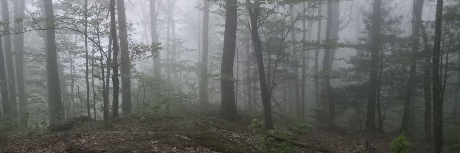 HunterbHayward's profile banner image