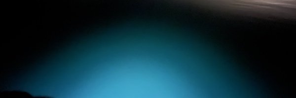 dav1d_bai Profile Banner