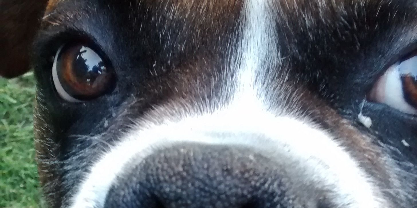 Maticocio's profile banner image