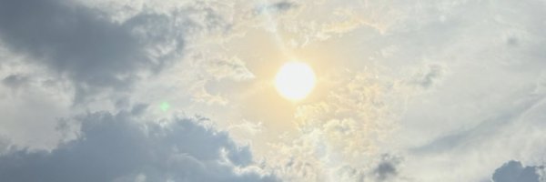 AydenFlemings Profile Banner