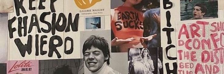 dani vai ver o harry!! banner