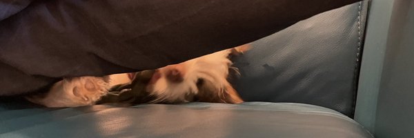 Wilma_chillt Profile Banner