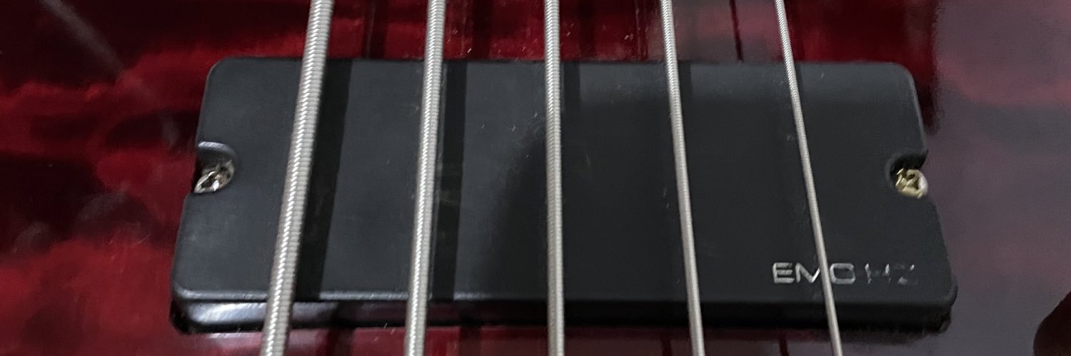 steve-o banner
