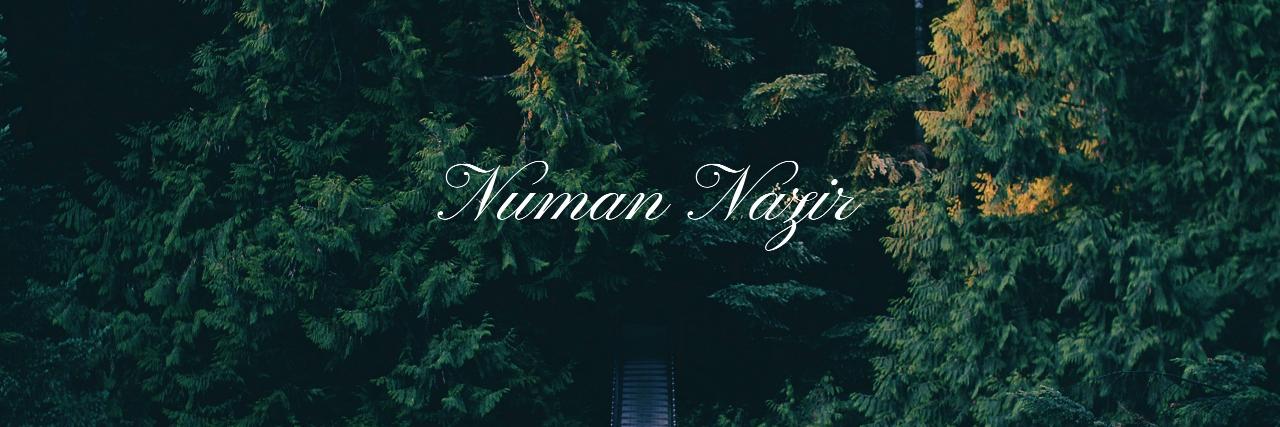 numies's profile banner image