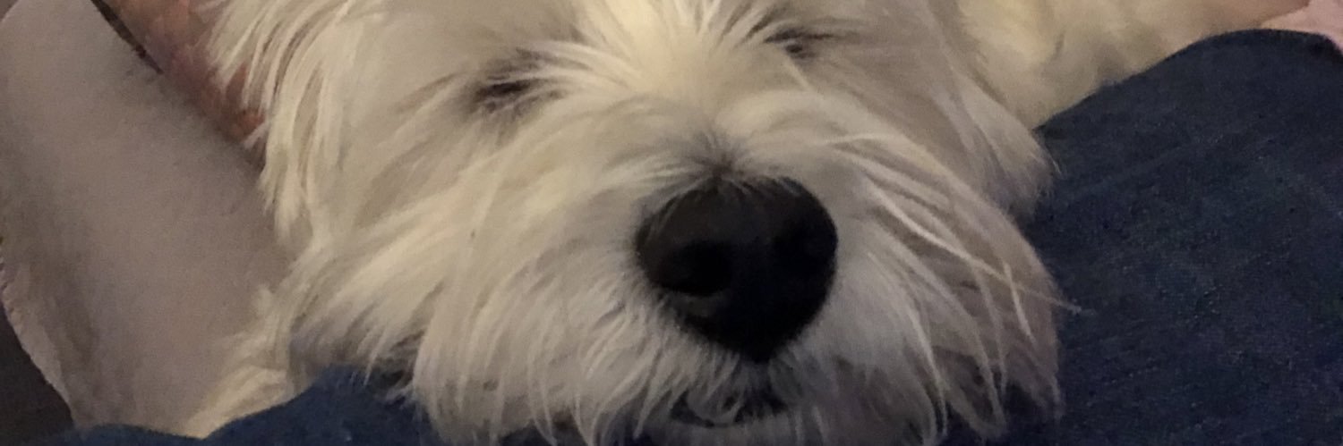 sscensored's profile banner image