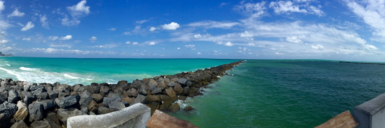 Devan R. Capur banner