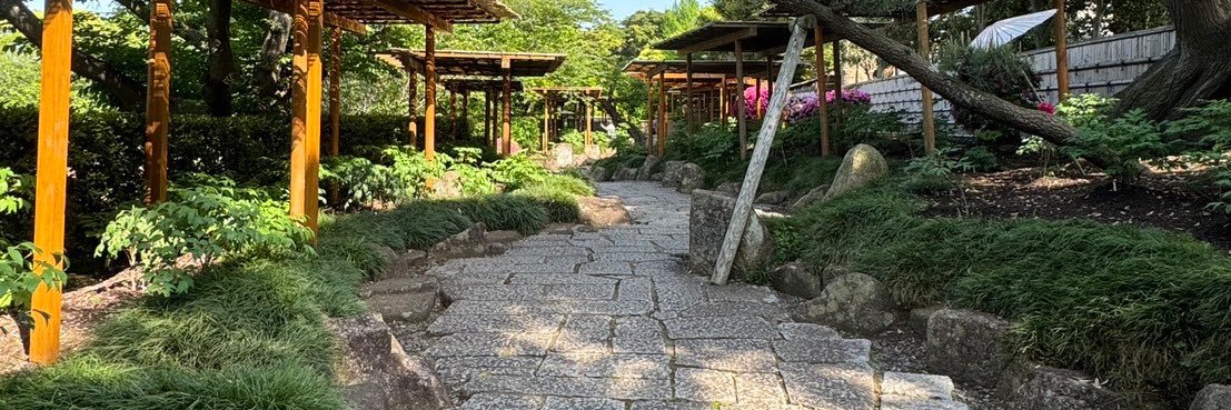 りっくん🔰走って投資するエンジニア🏃💰💻 banner