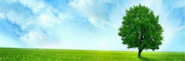 Parvad Sam banner