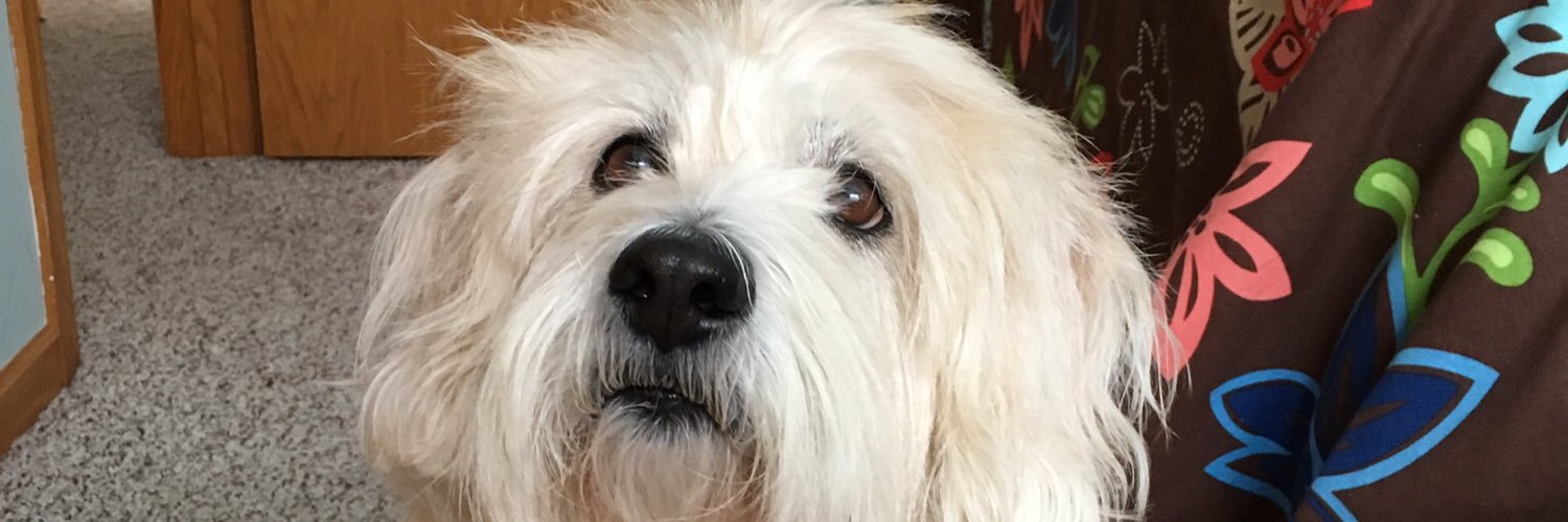 wdbyml's profile banner image