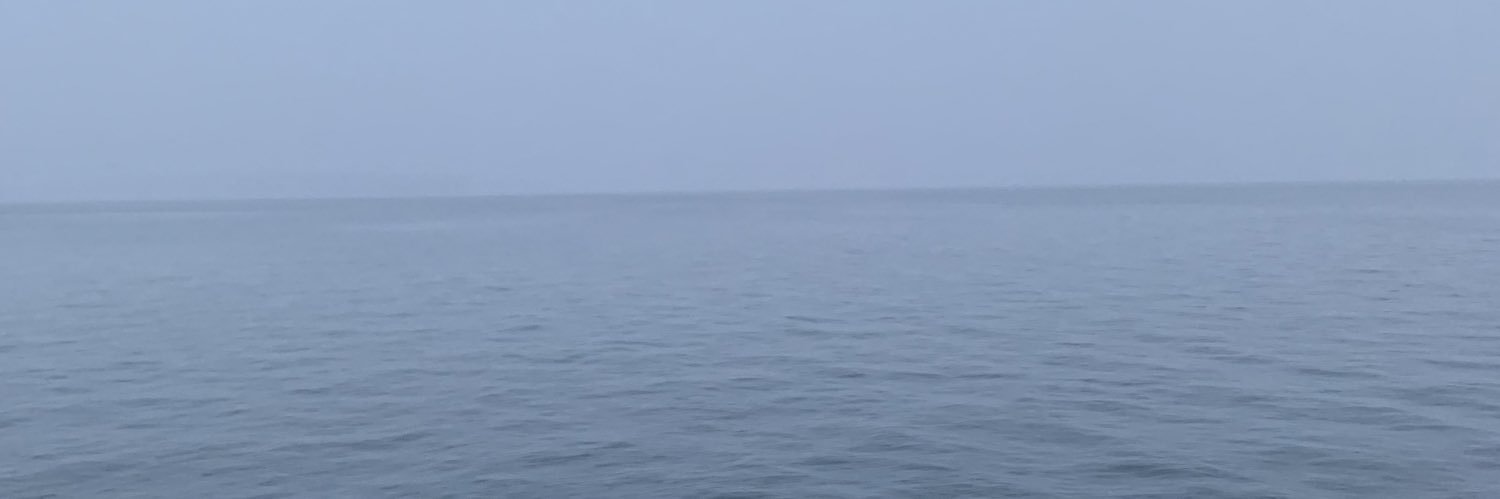 PDBjork's profile banner image