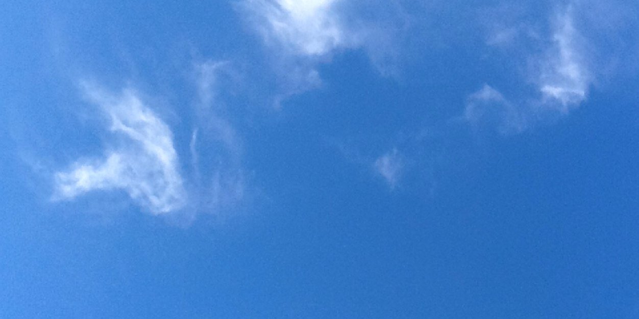 Wesante's profile banner image
