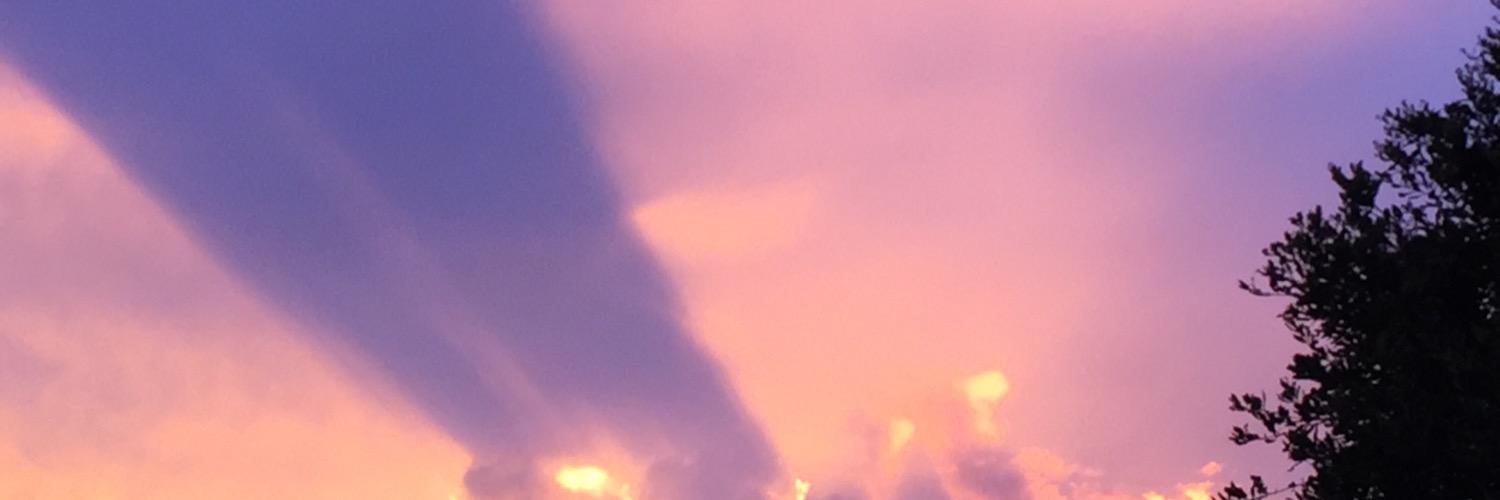 micahferguson's profile banner image