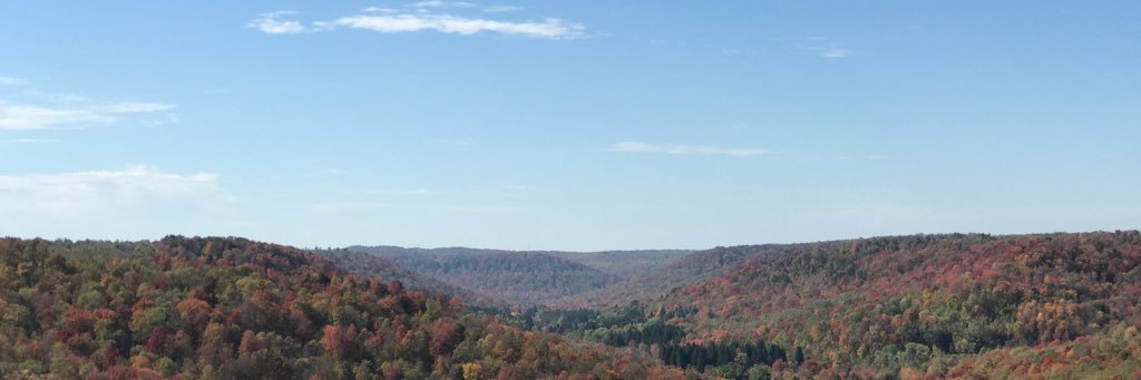 Pat_Allston's profile banner image