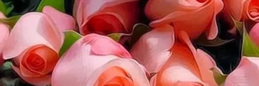 Birbelgin's profile banner image