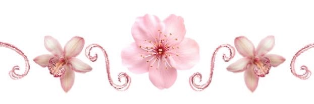 𑣲⋆bie ²⁷ banner