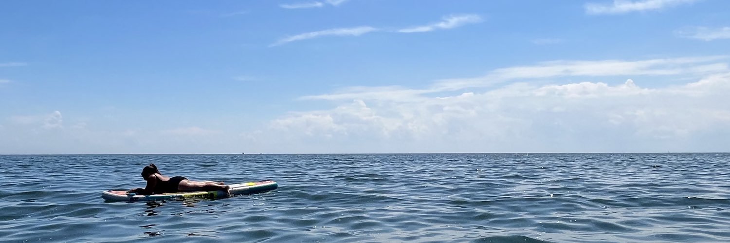 A1 banner