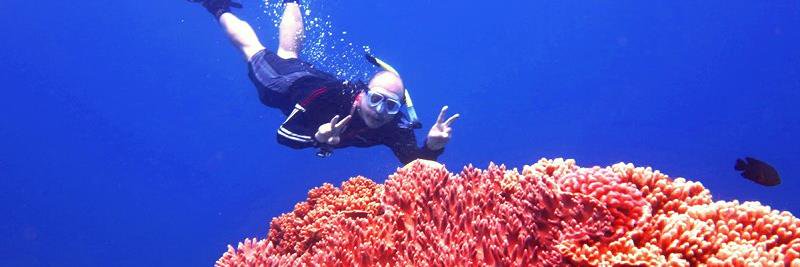 Agustus_Nugroho's profile banner image