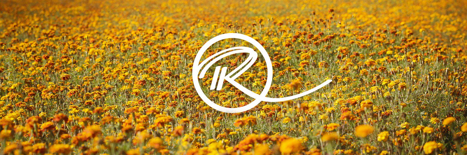 rick_roos's profile banner image