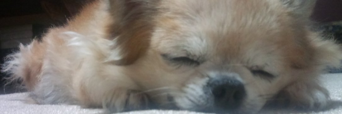 taruto2000's profile banner image