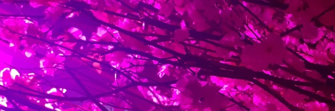 iinfantdeath's profile banner image