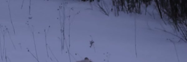 ᛝ Tyr ᛝ banner