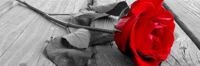 alsamar's profile banner image
