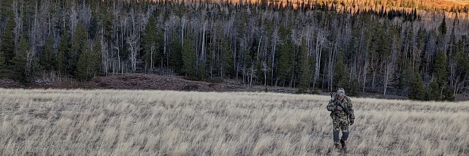 stefanwills's profile banner image