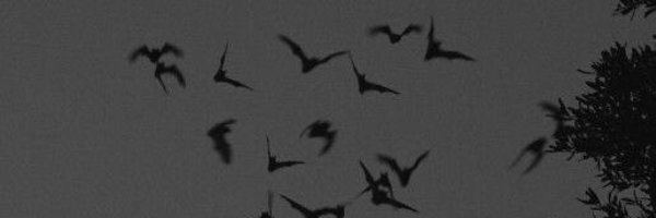 loneliest_muse Profile Banner
