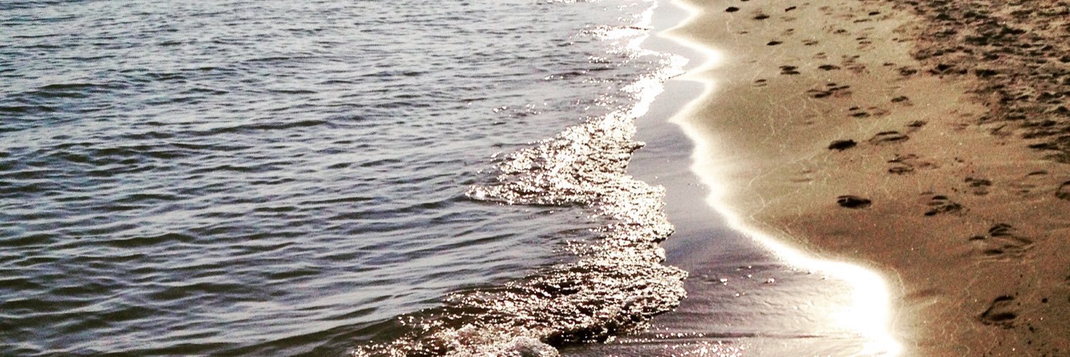 Ashley_willie's profile banner image