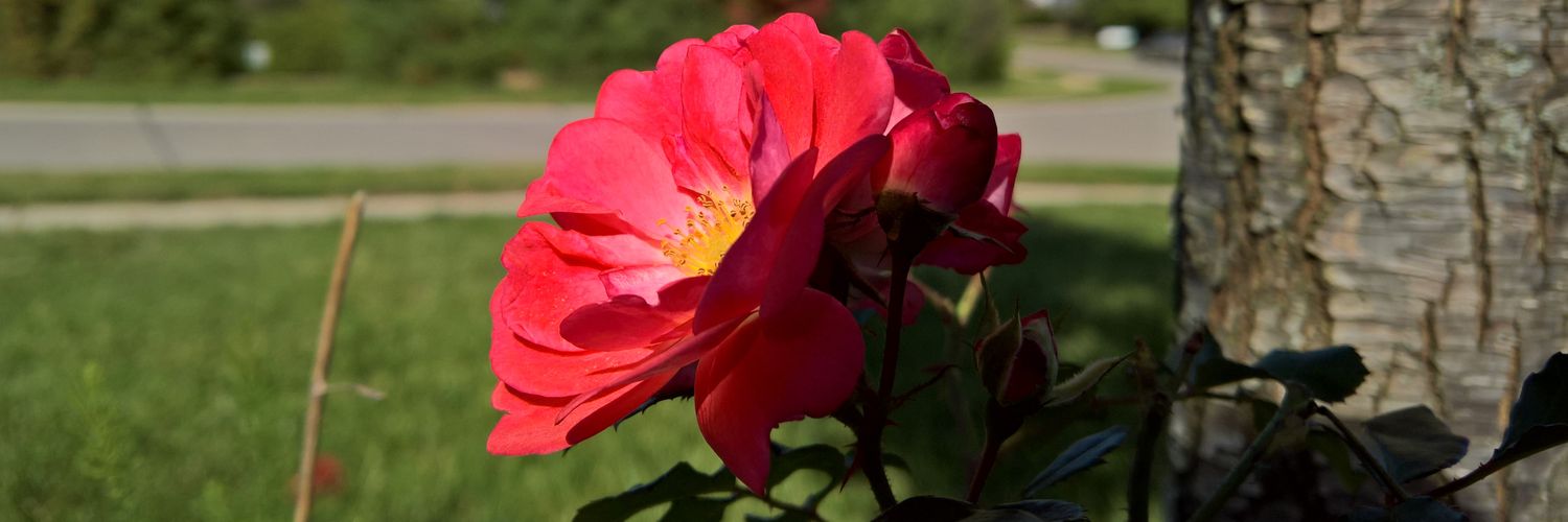 SysArch's profile banner image