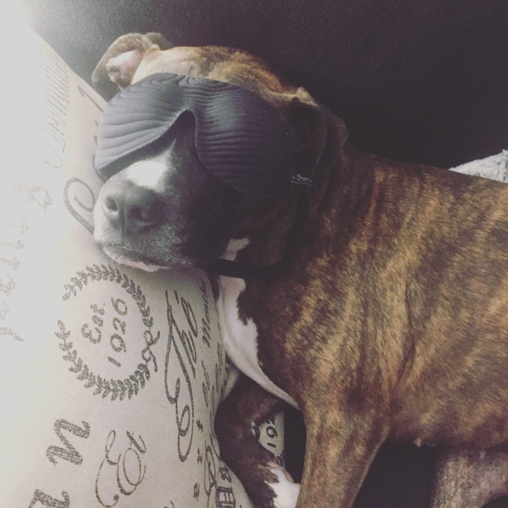 Timothy Sones banner