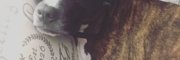 TimothySones Profile Banner