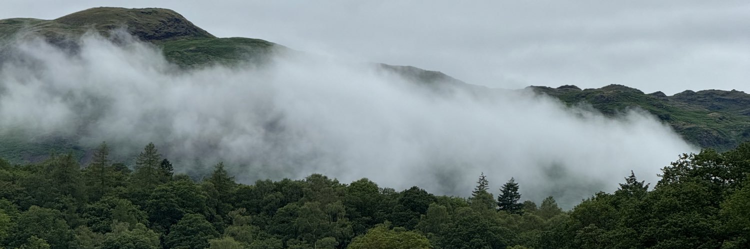 SnS banner