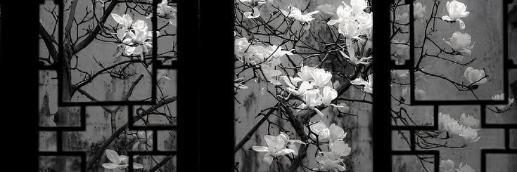Juliette , banner